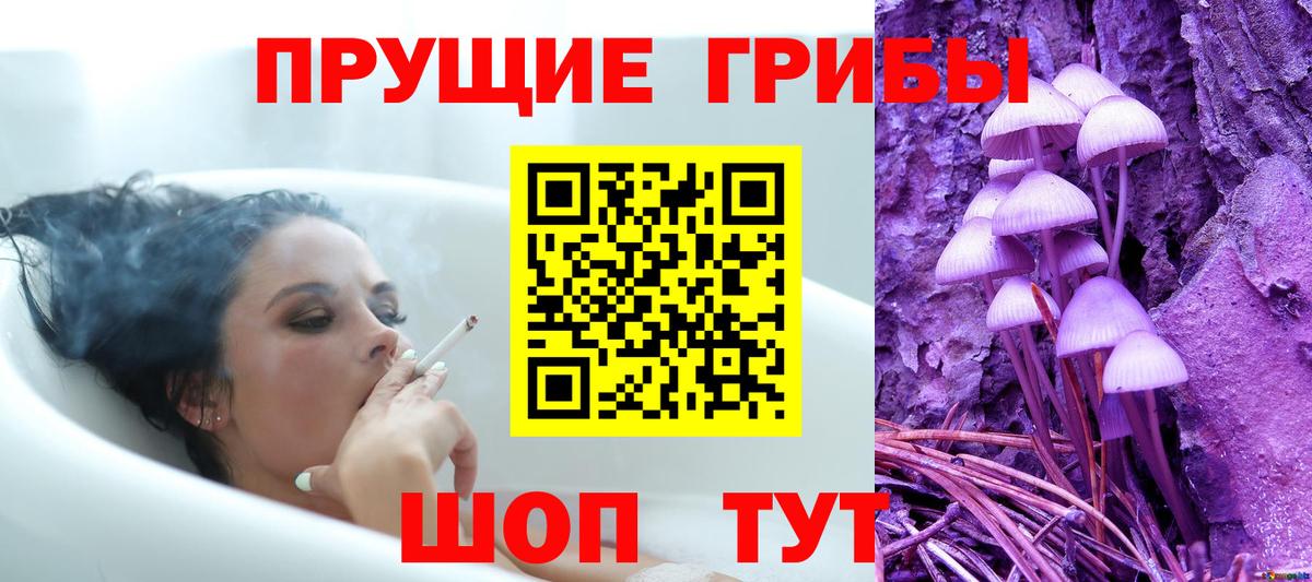 где продают наркотики  Вход с VPN  Зеленокумск  Псилоцибиновые грибы Psilocybe  Галлюциногенные грибы Psilocybine cubensis 